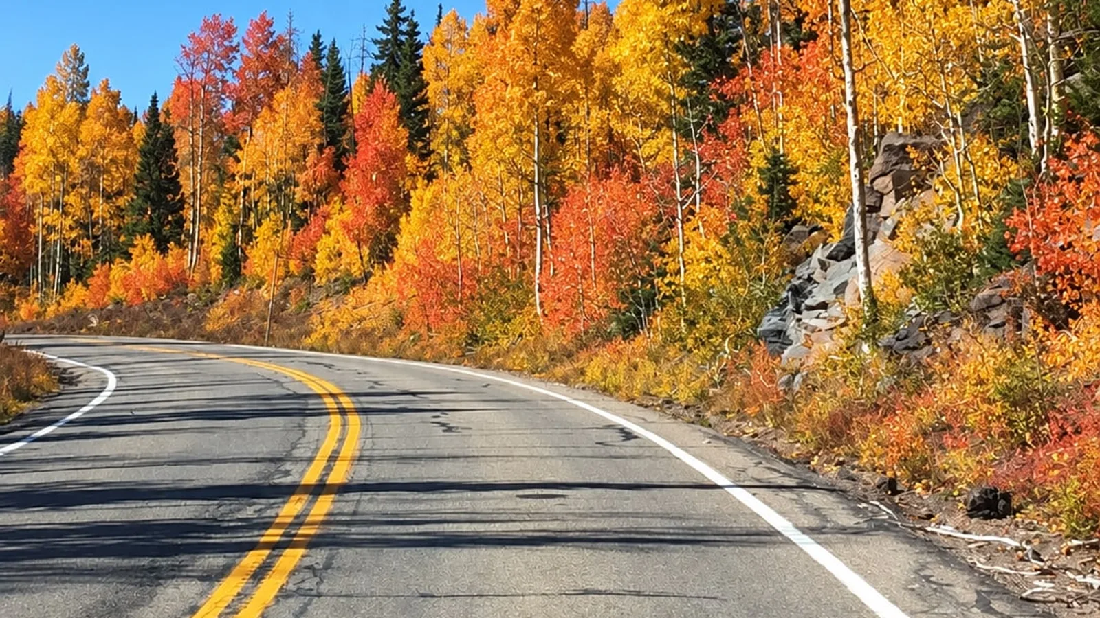 Highway 14 curving through orange and yellow aspens on Cedar Mountain between Cedar City and Duck Creek Village