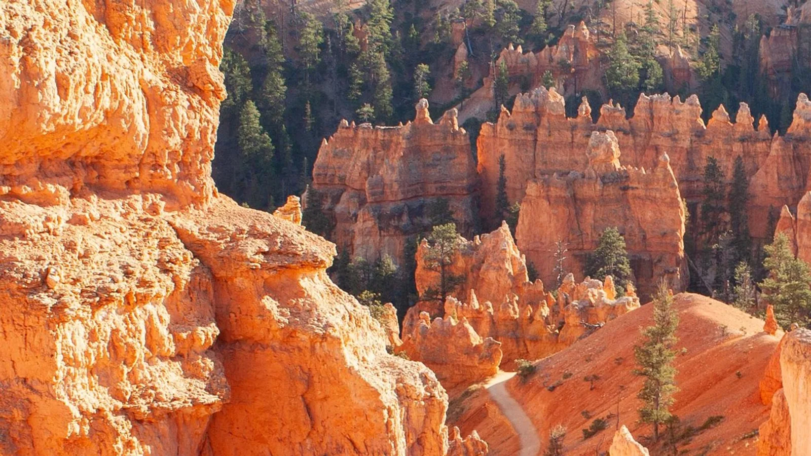 El anfiteatro de Bryce Canyon lleno de hoodoos anaranjados visto desde el borde
