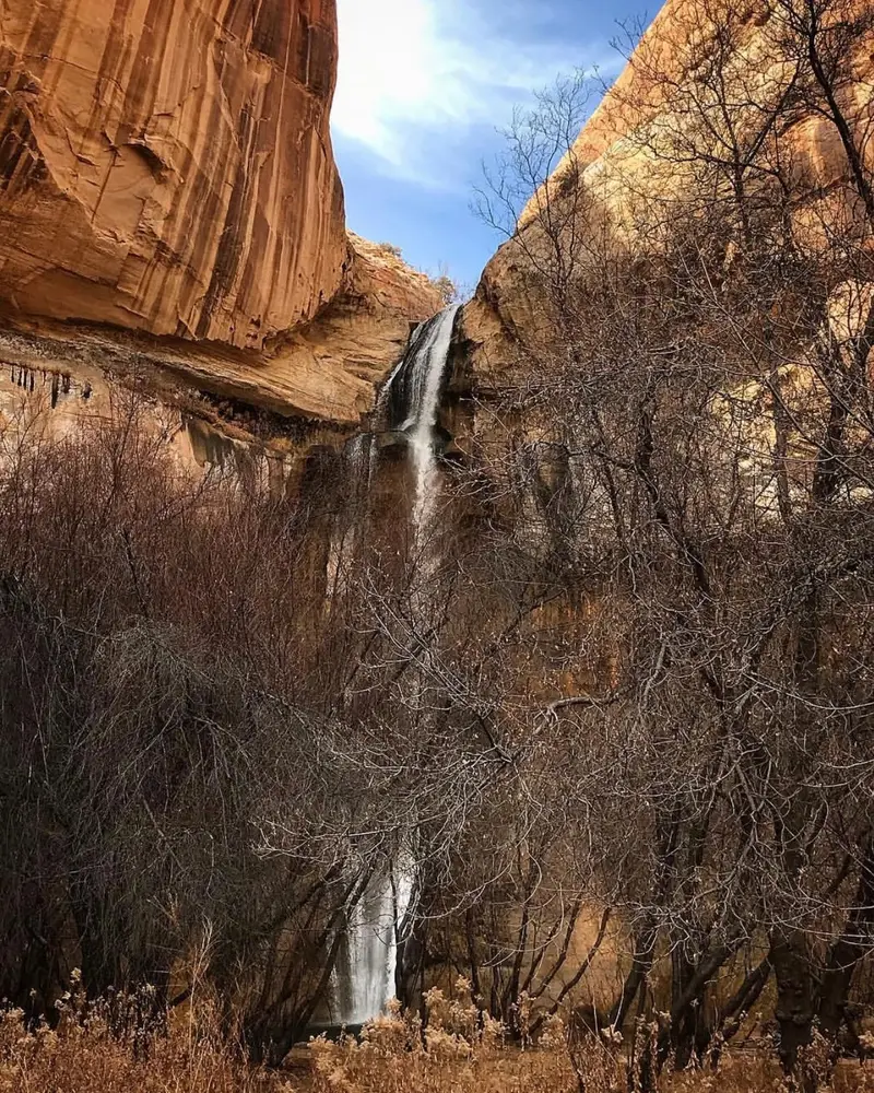 Lower Calf Creek Falls dropping down a sandstone wall behind bare winter trees
