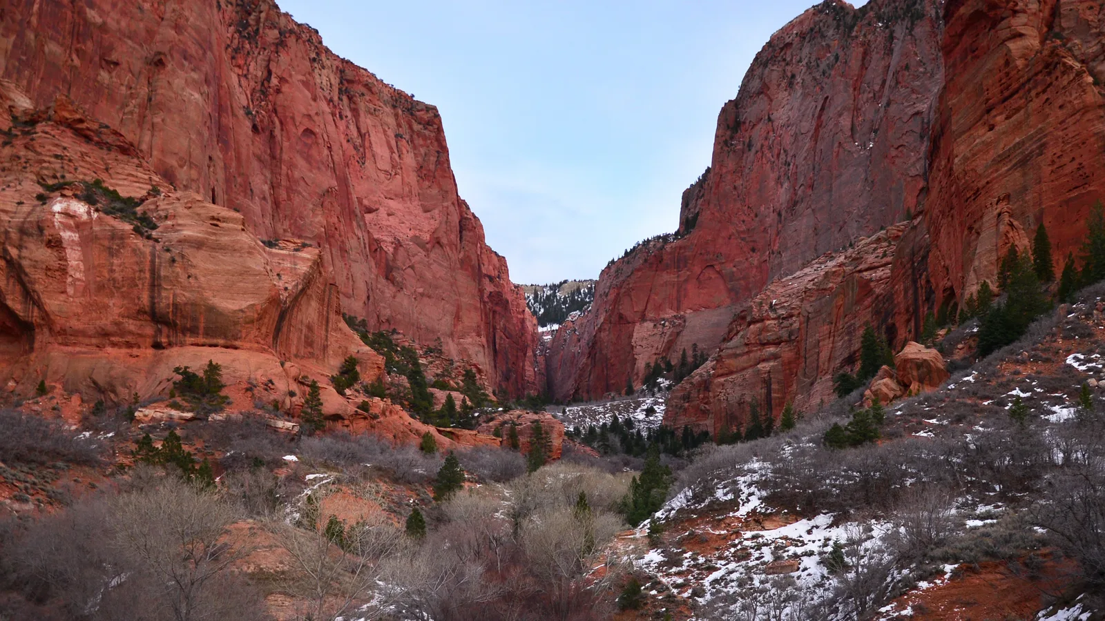 Red sandstone walls of Kolob Canyons in Zion National Park with snow on the ground and juniper in the foreground