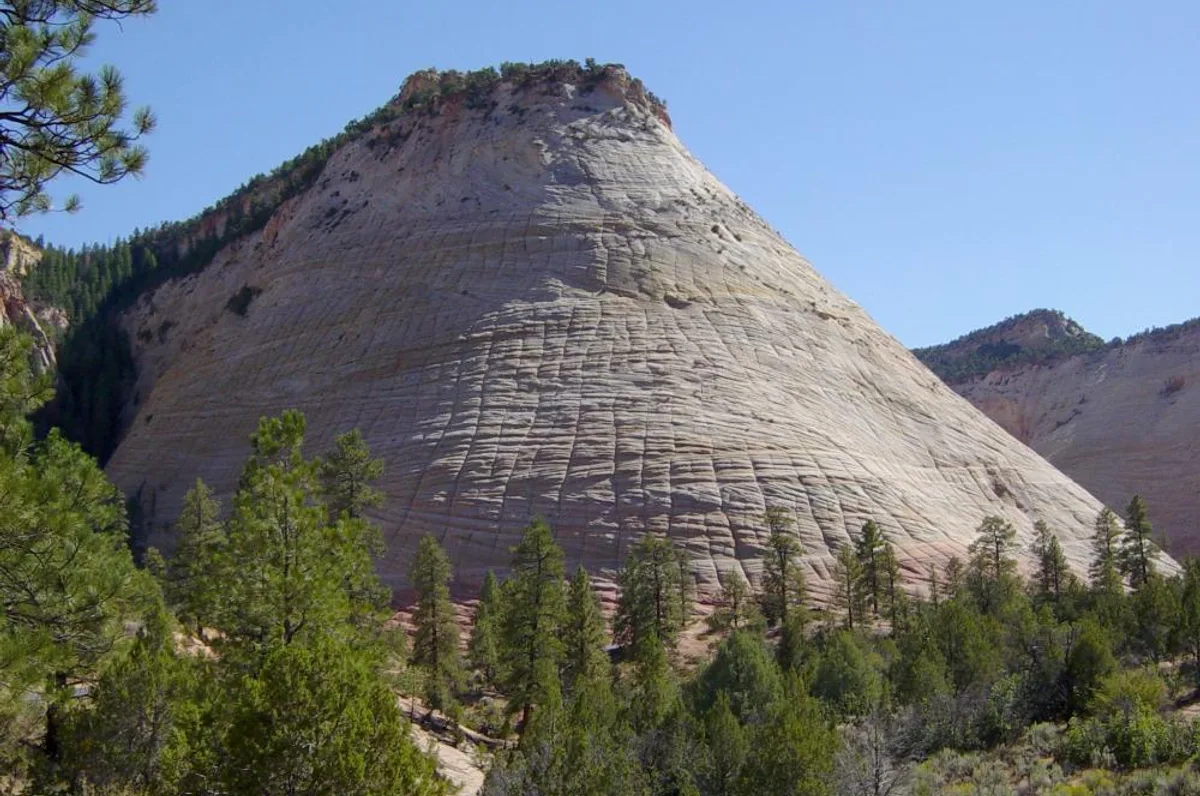 Checkerboard Mesa, de geruite zandsteenkoepel net binnen de East Entrance van Zion