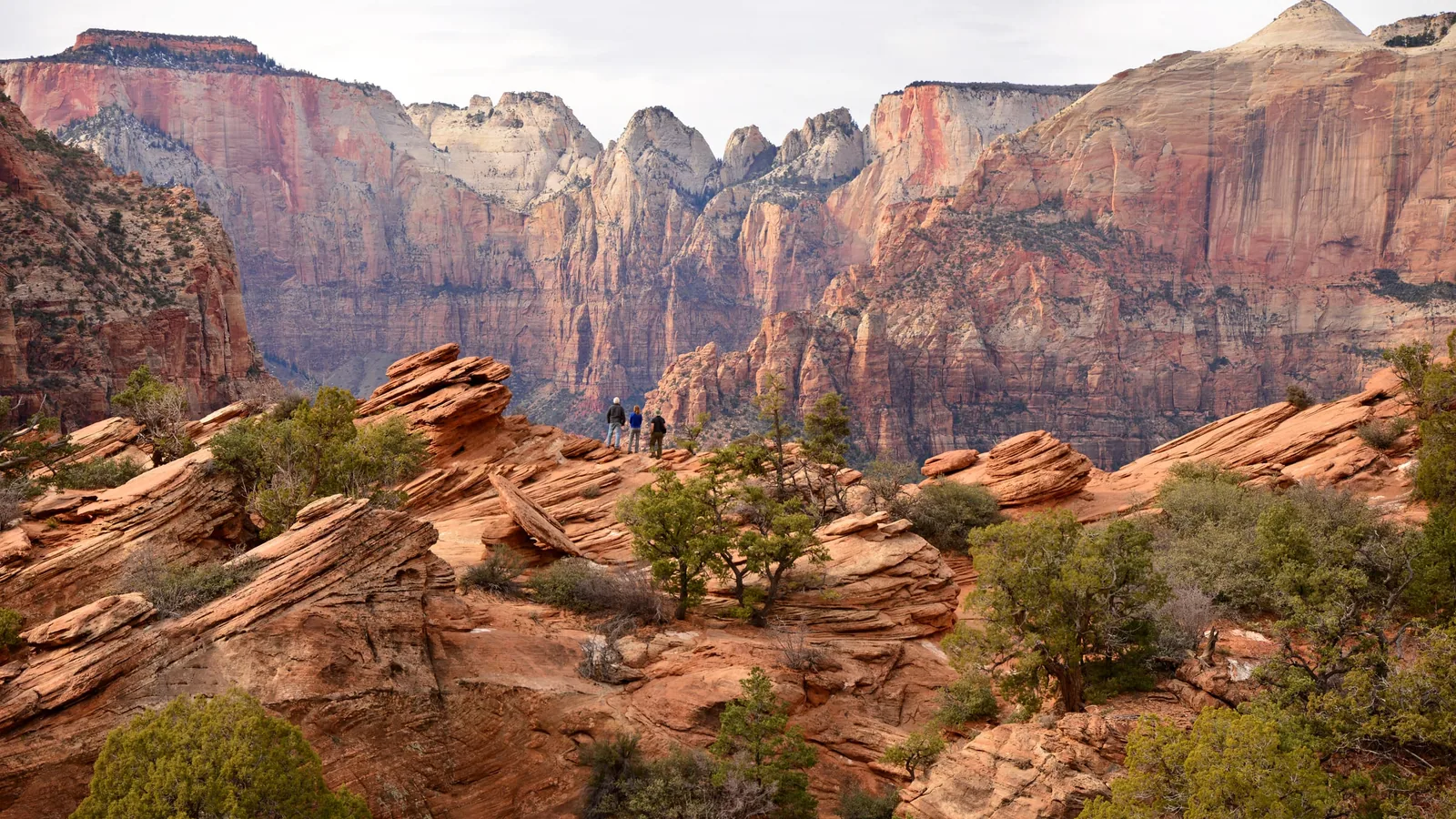 Rode zandsteencanyon aan de oostkant van Zion National Park, gezien vanaf de Canyon Overlook