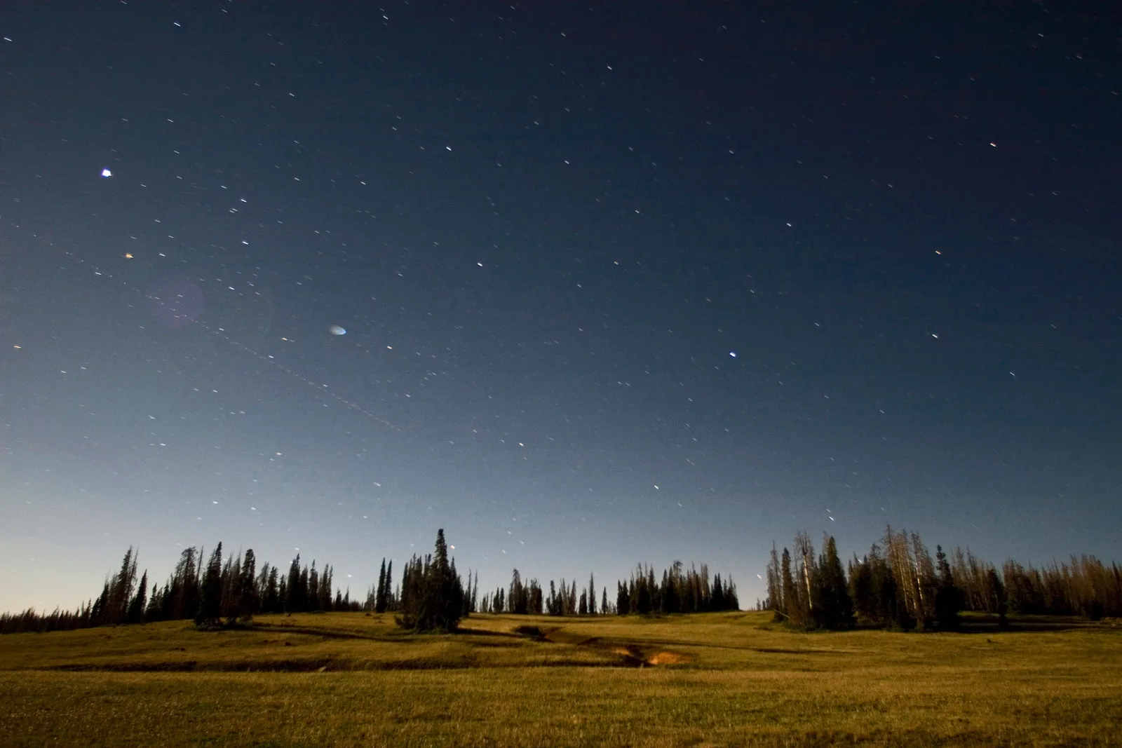 Estrellas sobre un prado enmarcado por coníferas en el Monumento Nacional Cedar Breaks, Utah