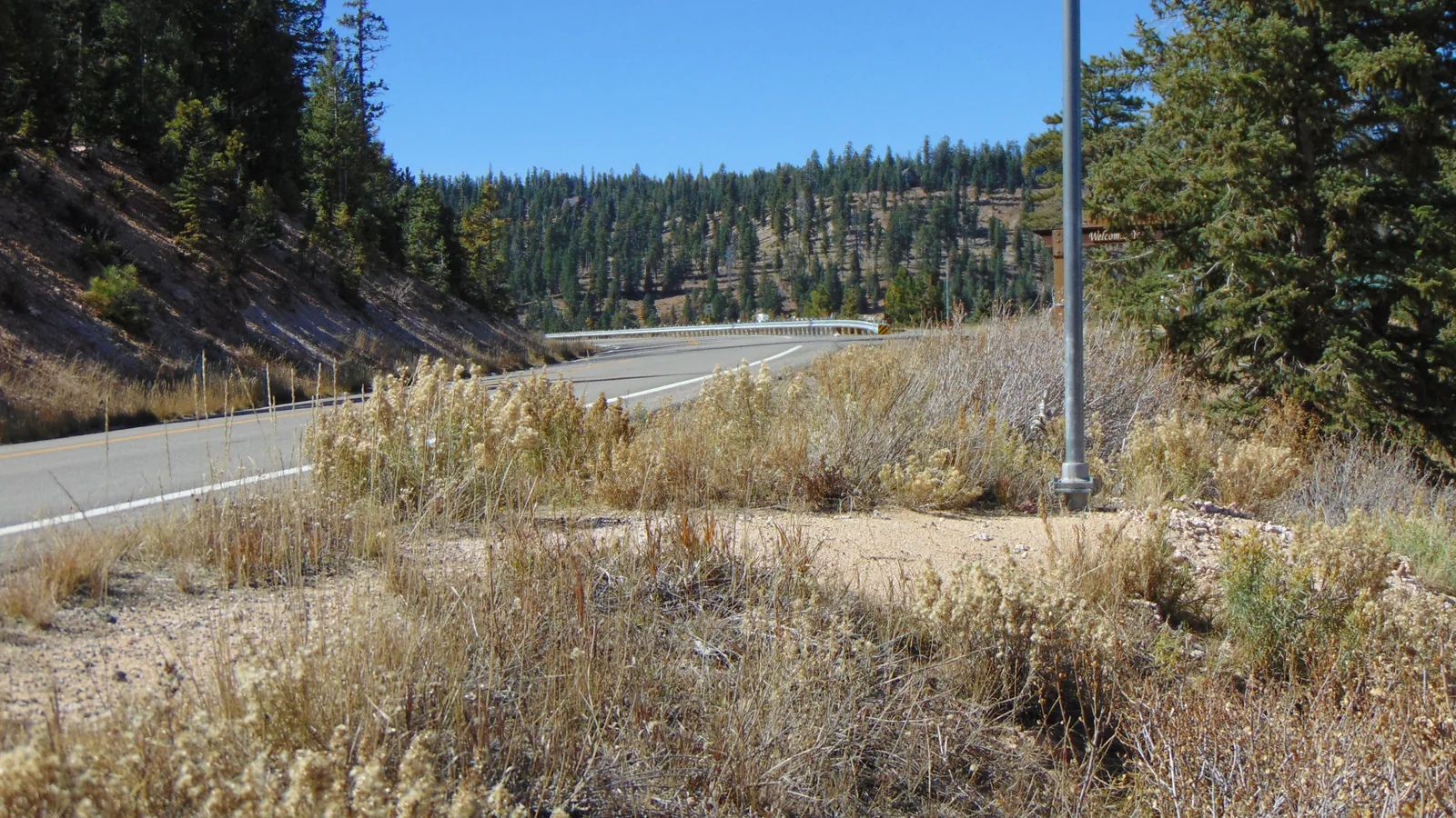 Die State Route 14 schlängelt sich am Highway-Schild von Duck Creek Village vorbei durch den Hochgebirgswald