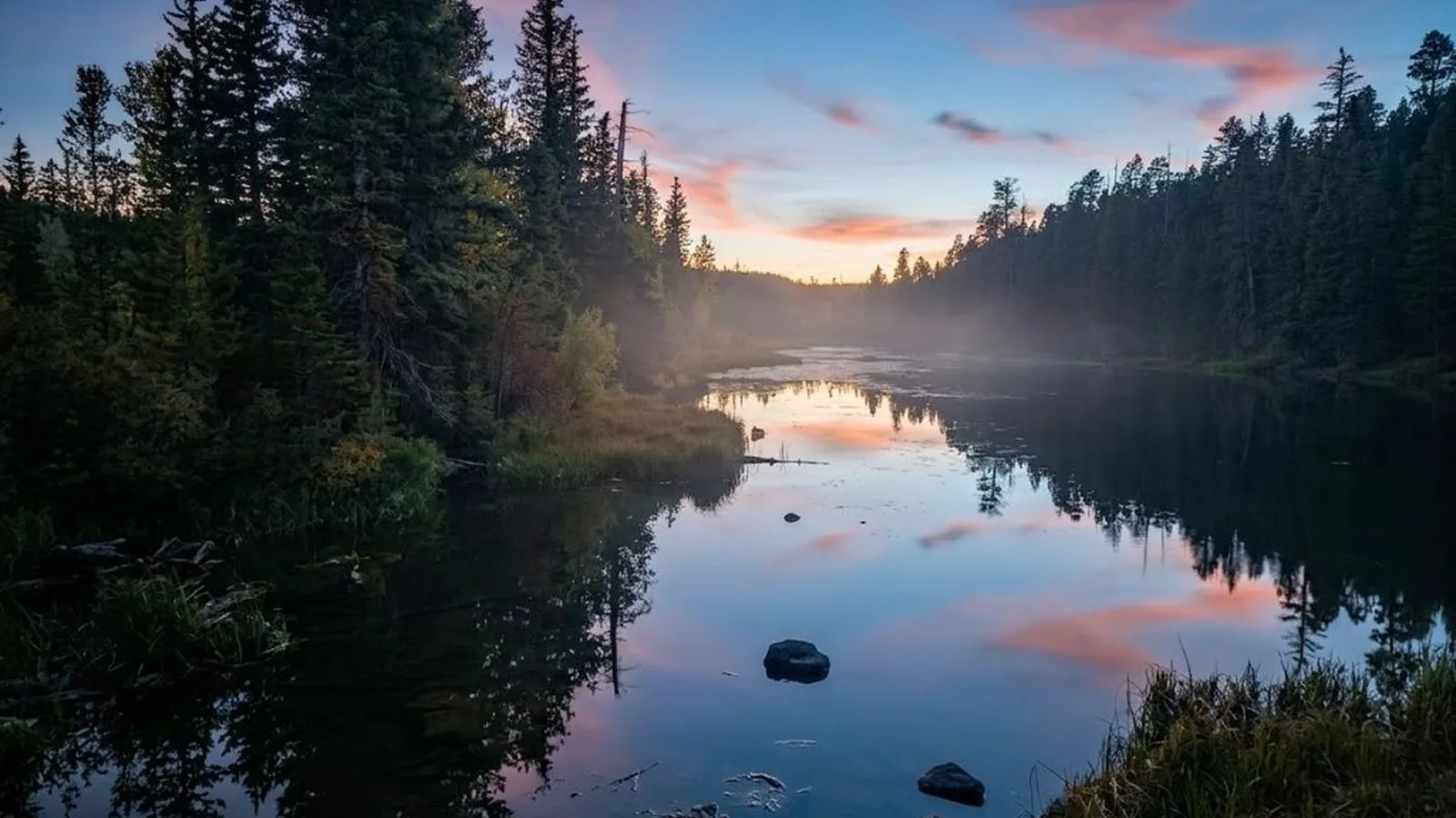 Aspen Mirror Lake, espen weerspiegeld in stilstaand water